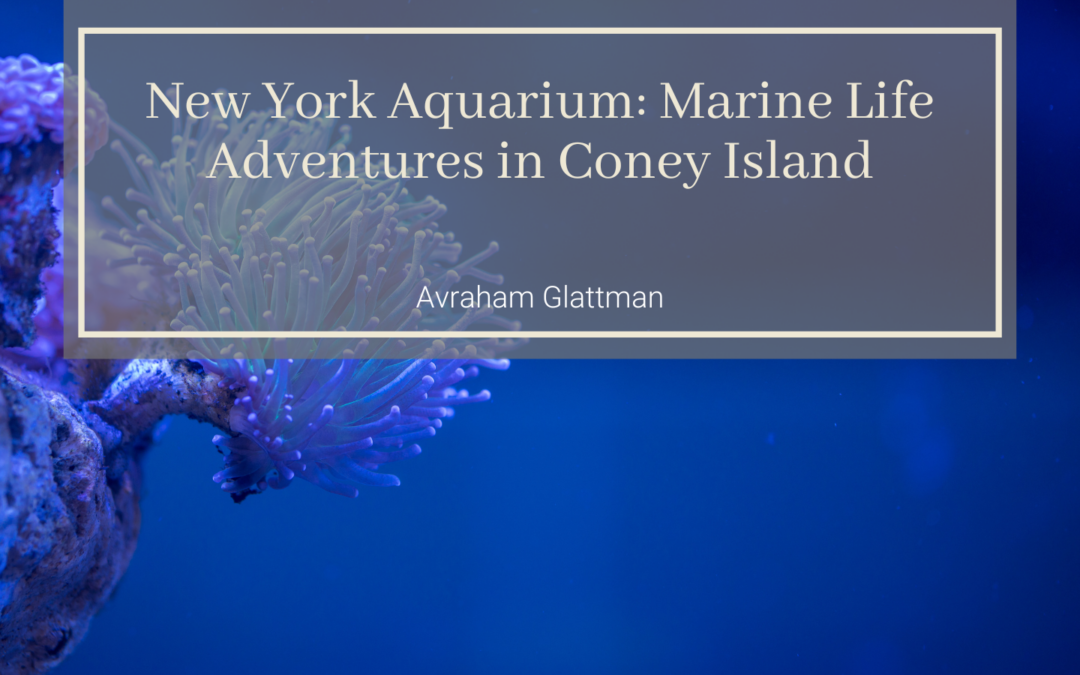 New York Aquarium: Marine Life Adventures in Coney Island