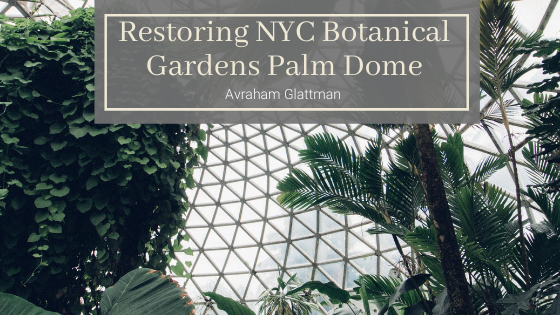 Restoring Nyc Botanical Gardens Palm Dome Avraham Glattman