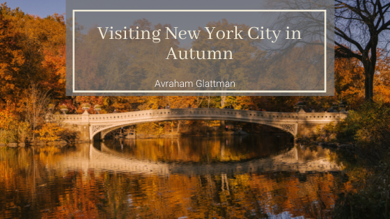 Visiting New York City In Autumn Avraham Glattman