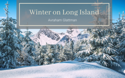 Winter on Long Island